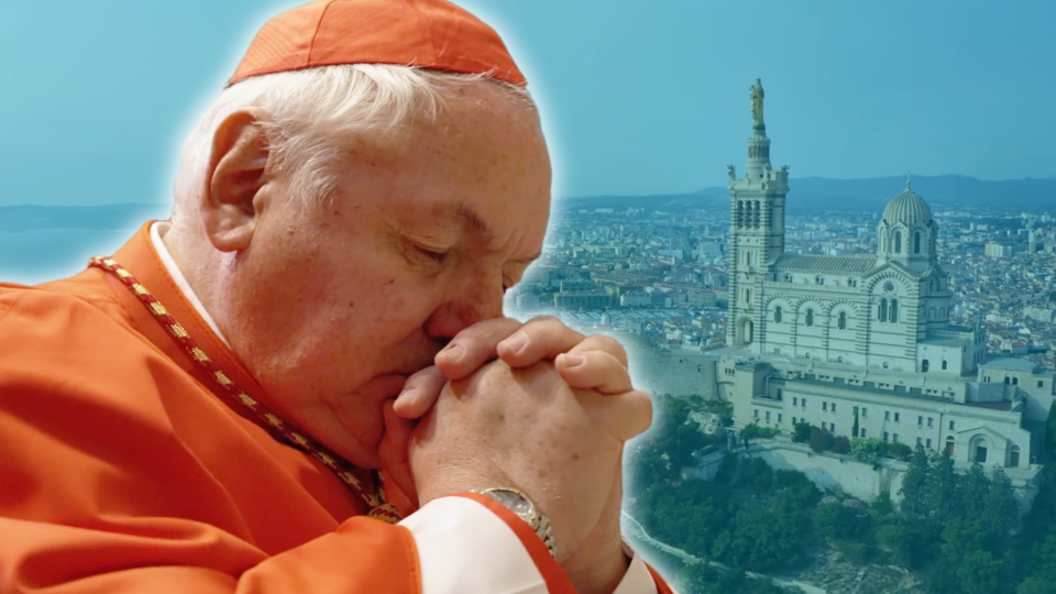 Cardinal Aveline seul