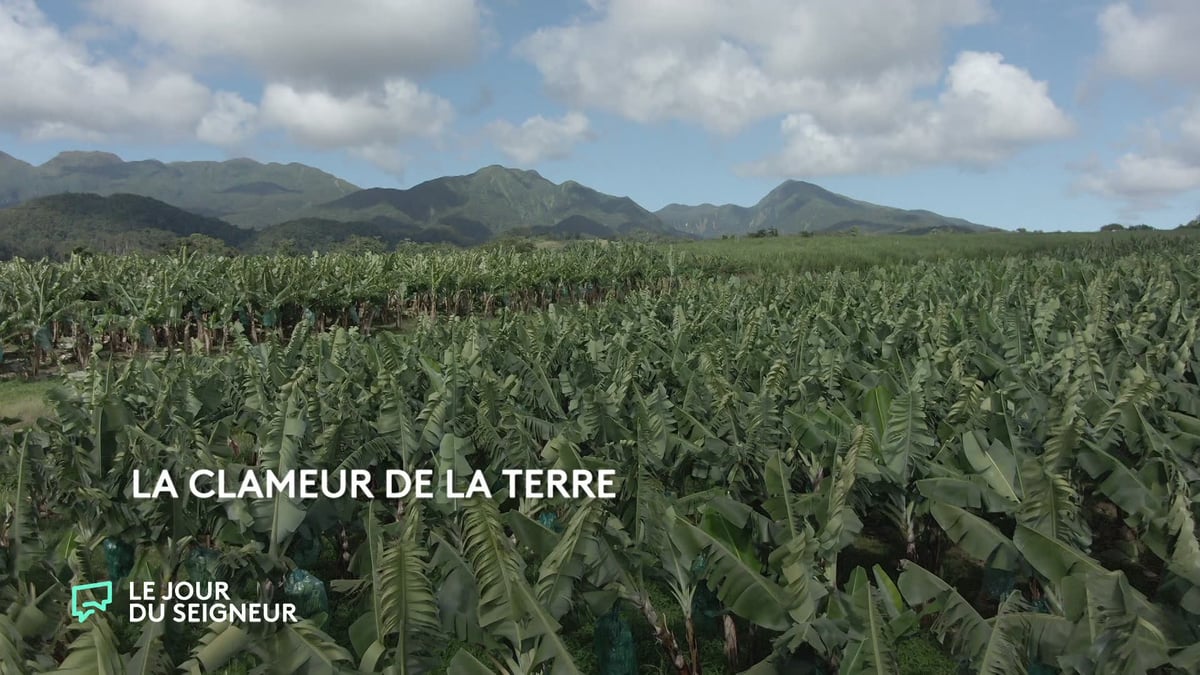 La clameur de la terre - Bande-annonce