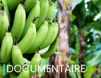 documentaire 15_10